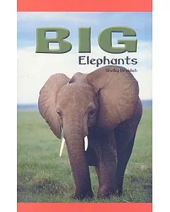 Big Elephants