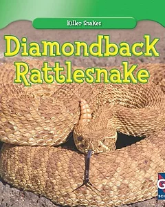 Diamondback Rattlesnake
