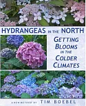 Hydrangeas in the North: Getting Blooms in the Colder Climates