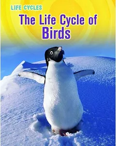 The Life Cycle of Birds