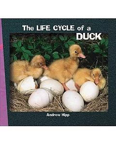 The Life Cycle of a Duck