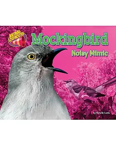 Mockingbird: Noisy Mimic
