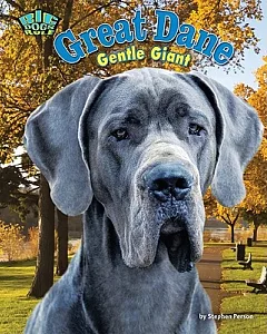 Great Dane: Gentle Giant