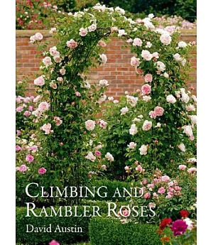 Climbing and Rambler Roses