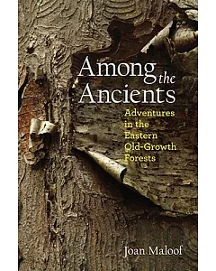 Among the Ancients: Adventures in the Eastern Old-Growth Forests