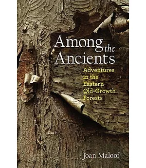Among the Ancients: Adventures in the Eastern Old-Growth Forests