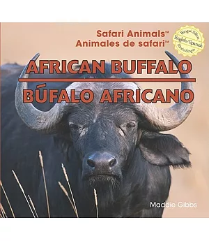 African Buffalo