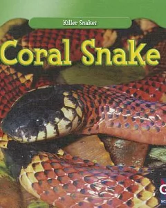 Coral Snake