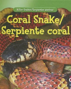 Coral Snake / Serpiente coral