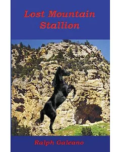 Lost Mountain Stallion