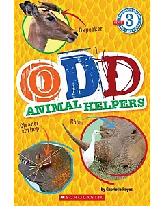 Odd Animal Helpers