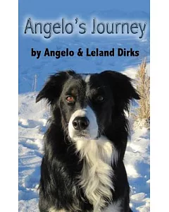Angelo’s Journey: A Border Collie’s Quest for Home
