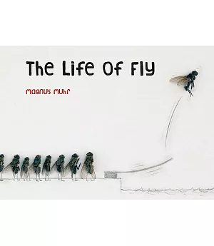 The Life of Fly