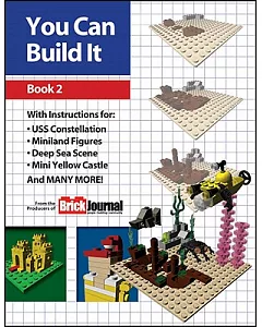 You Can Build It 2