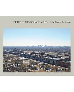 Julie Reyes Taubman: Detroit: 138 Square Miles