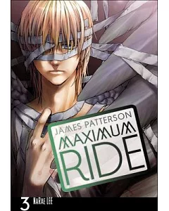 Maximum Ride 3