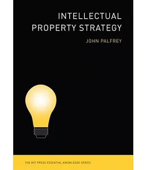Intellectual Property Strategy