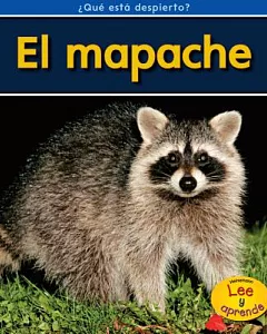El mapache / Raccoons