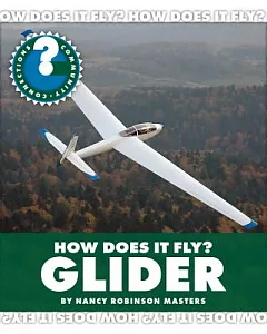 How Does It Fly? Glider