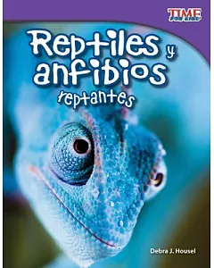 Reptiles y anfibios / Reptiles and Amphibians