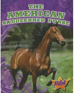 The American Saddlebred Horse