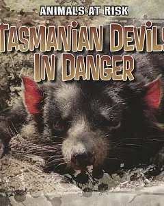 Tasmanian Devils in Danger