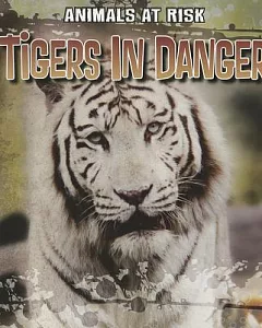 Tigers in Danger