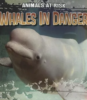 Whales in Danger