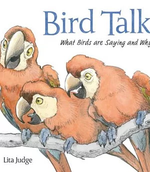 Bird Talk: What Birds Are Saying and Why