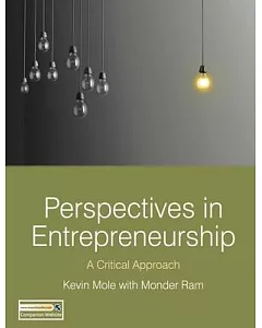 Perspectives in Entrepreneurship: A Critical Approach