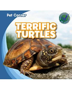 Terrific Turtles