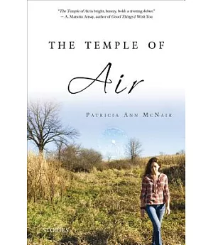 The Temple of Air: Stories