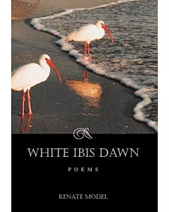 White Ibis Dawn