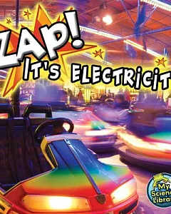 Zap! It’s Electricity!