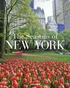 The Seasons of New York