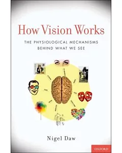 How Vision Works: The Physiological Mechanisms Behind What We See