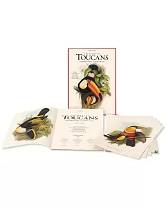 The Family of Toucans: Die familie der Tukane - La Famille des Toucans, 1852 - 1854, The Complete Plates 53