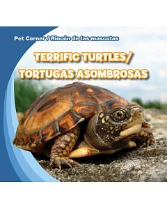 Terrific Turtles / Tortugas Asombrosas