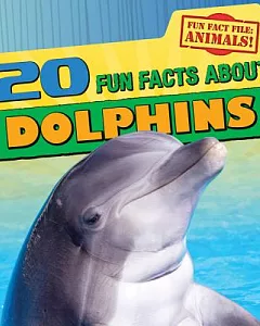 20 Fun Facts About Dolphins