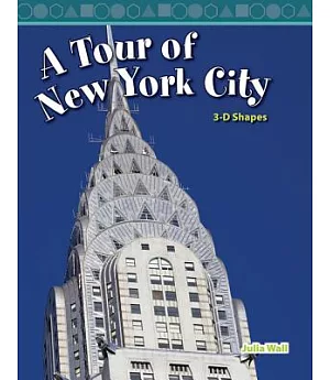A Tour of New York City