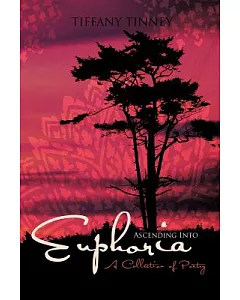 Ascending into Euphoria: A Collection of Poetry