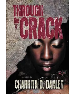 Through the Crack: A Novel