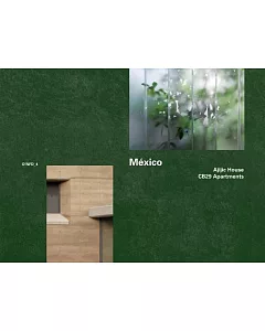 Mexico: Ajijic House, 2009-2011 / CB29 Apartments, 2005-2007