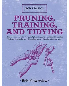 Pruning, Training, and Tidying