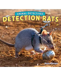 Detection Rats
