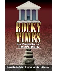 Rocky Times: New Perspectives on Financial Stability