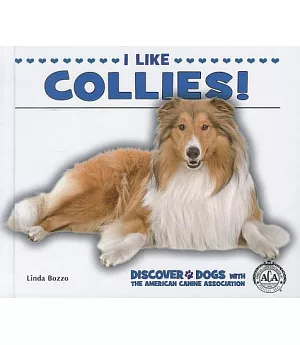 I Like Collies!