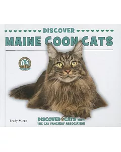 Discover Maine Coon Cats