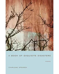 A Book of Exquisite Disasters: Poems