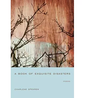 A Book of Exquisite Disasters: Poems